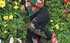 亚洲麻豆星空果冻传媒